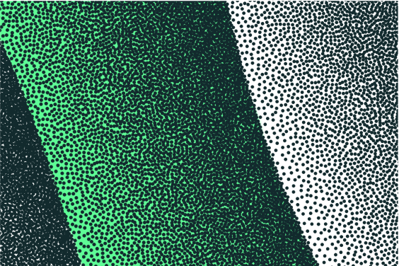 IP Newsletter September