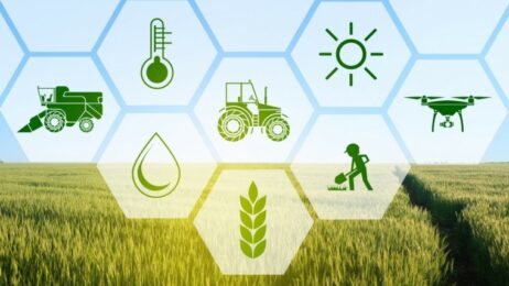 Boyanov & Co. advised Yara International ASA