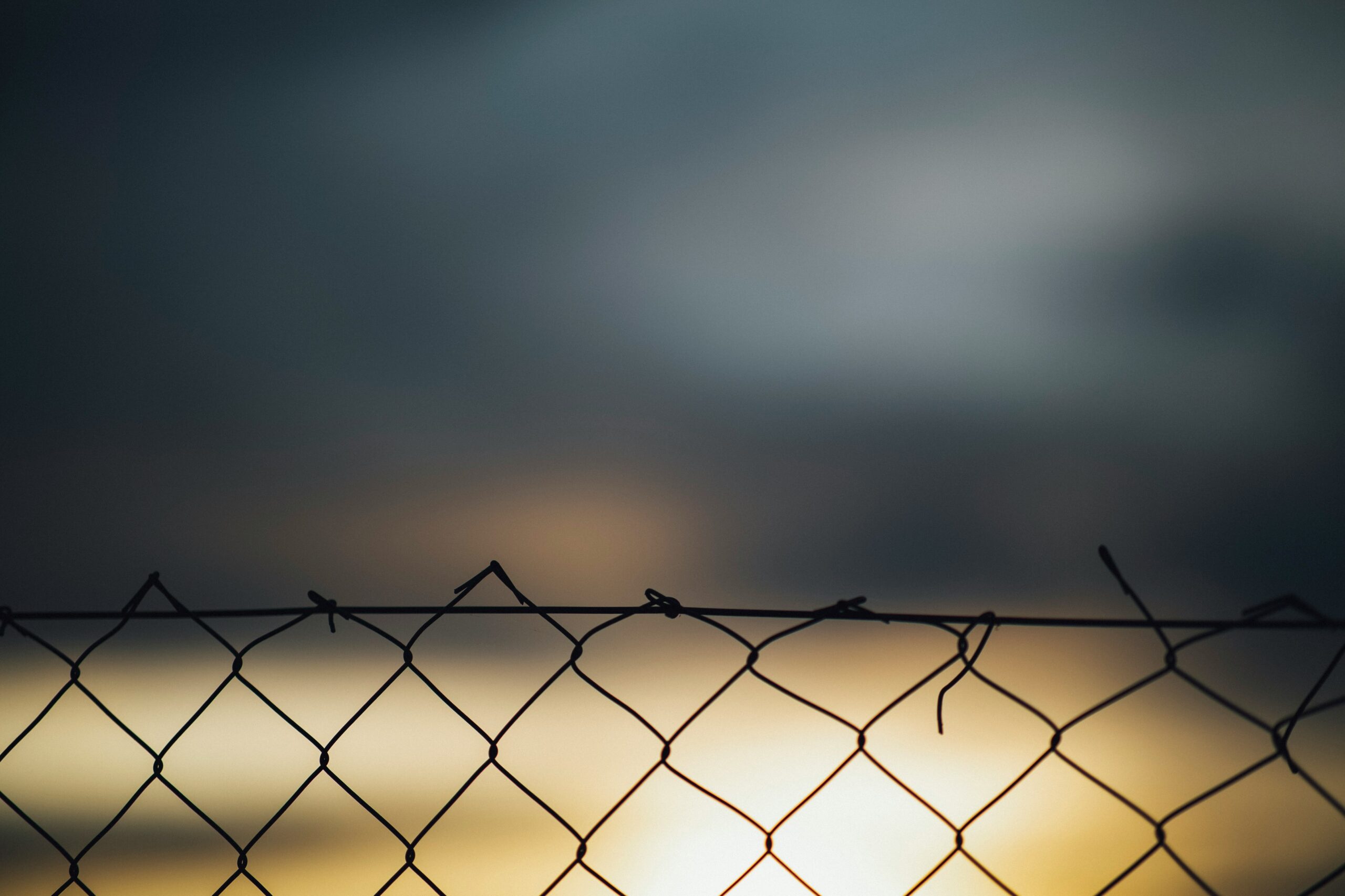 Austria: Potential disqualification of managing directors and board members in the event of a criminal conviction